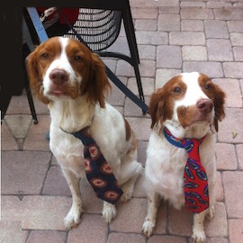 Hank and Gus